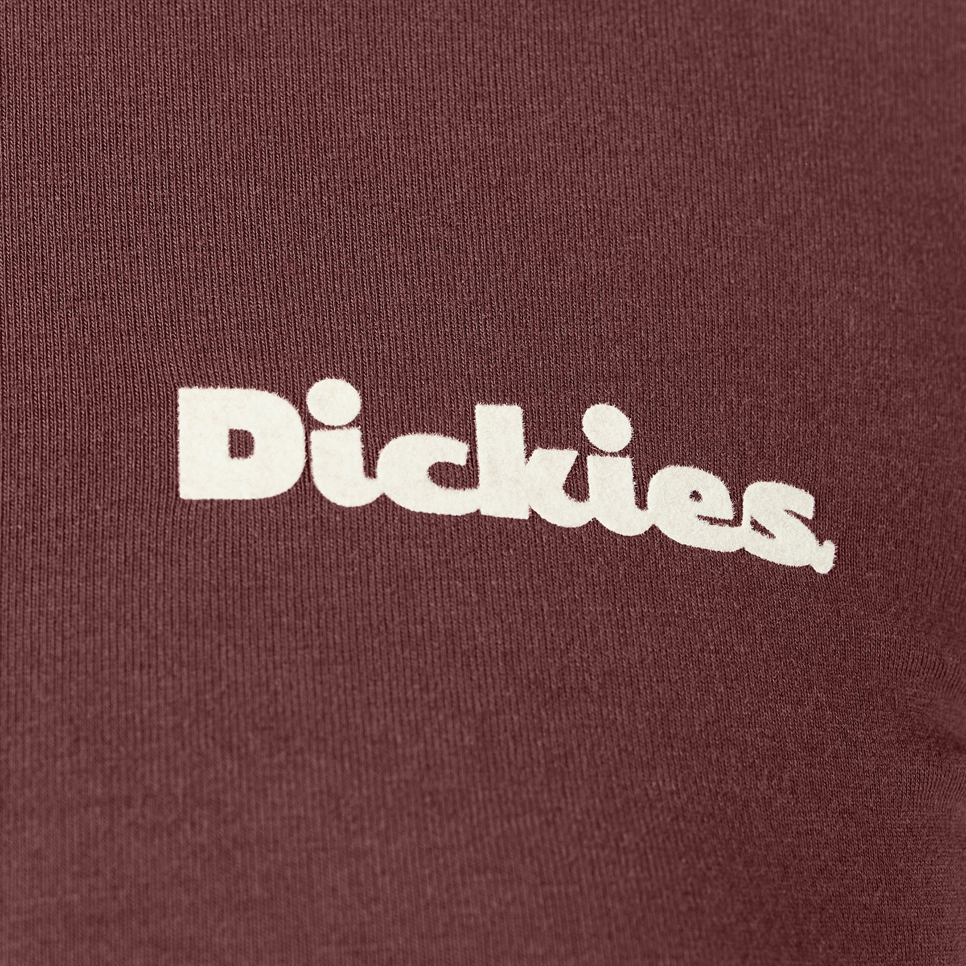 Dickies Women’s Slayden Ringer Tee