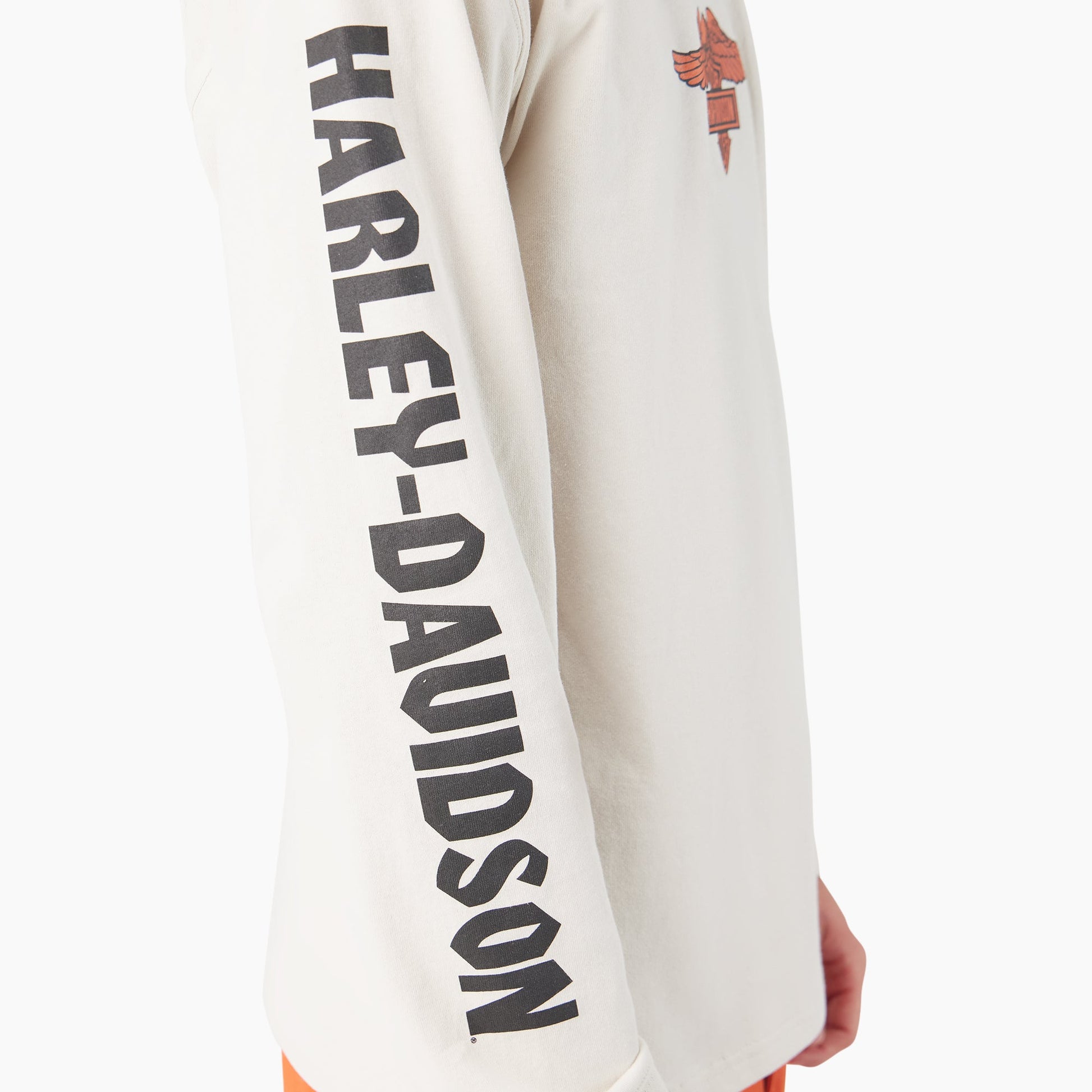 Dickies Dickies x Harley-Davidson Heavyweight Long Sleeve Eagle Tee